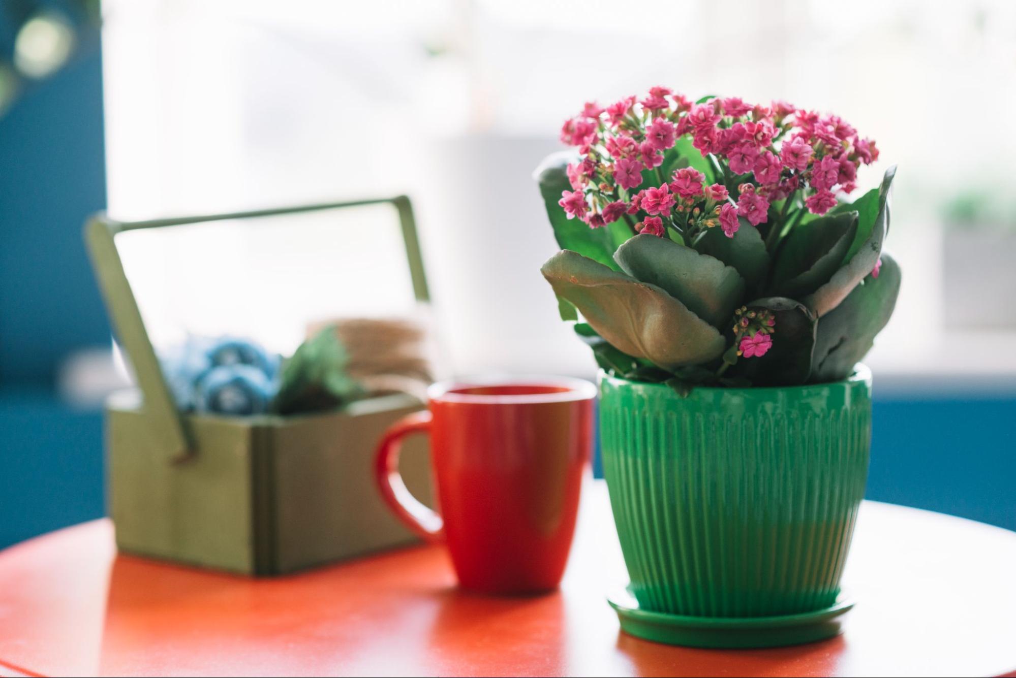 Personalized flower pot, ideal wedding gift idea