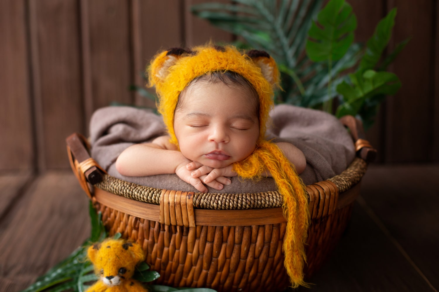Newborn baby basket photoshoot at home with soft natural lighting
